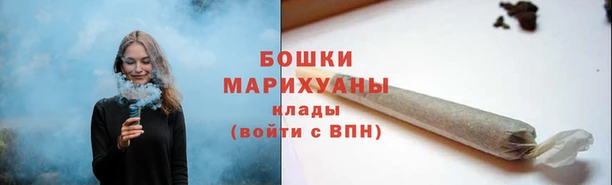 шишки Лихославль