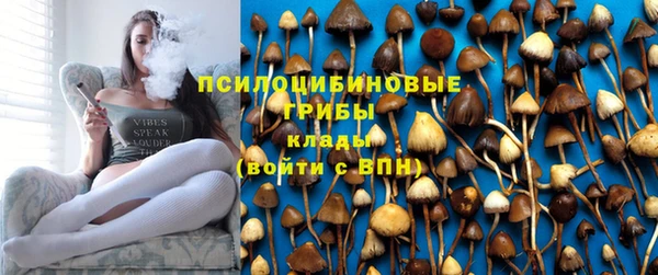дмт Липки