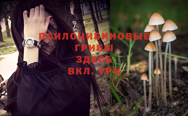 шишки Лихославль