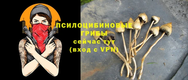 ПСИЛОЦИБИНОВЫЕ ГРИБЫ Лиски